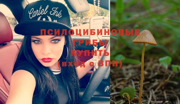 ГАЛЛЮЦИНОГЕННЫЕ ГРИБЫ Абинск