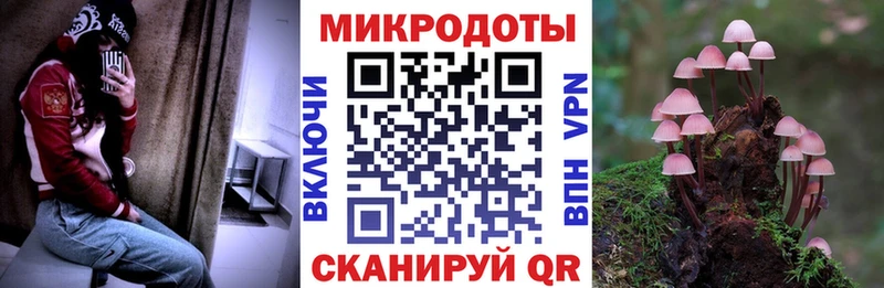 Галлюциногенные грибы MAGIC MUSHROOMS  Устюжна 